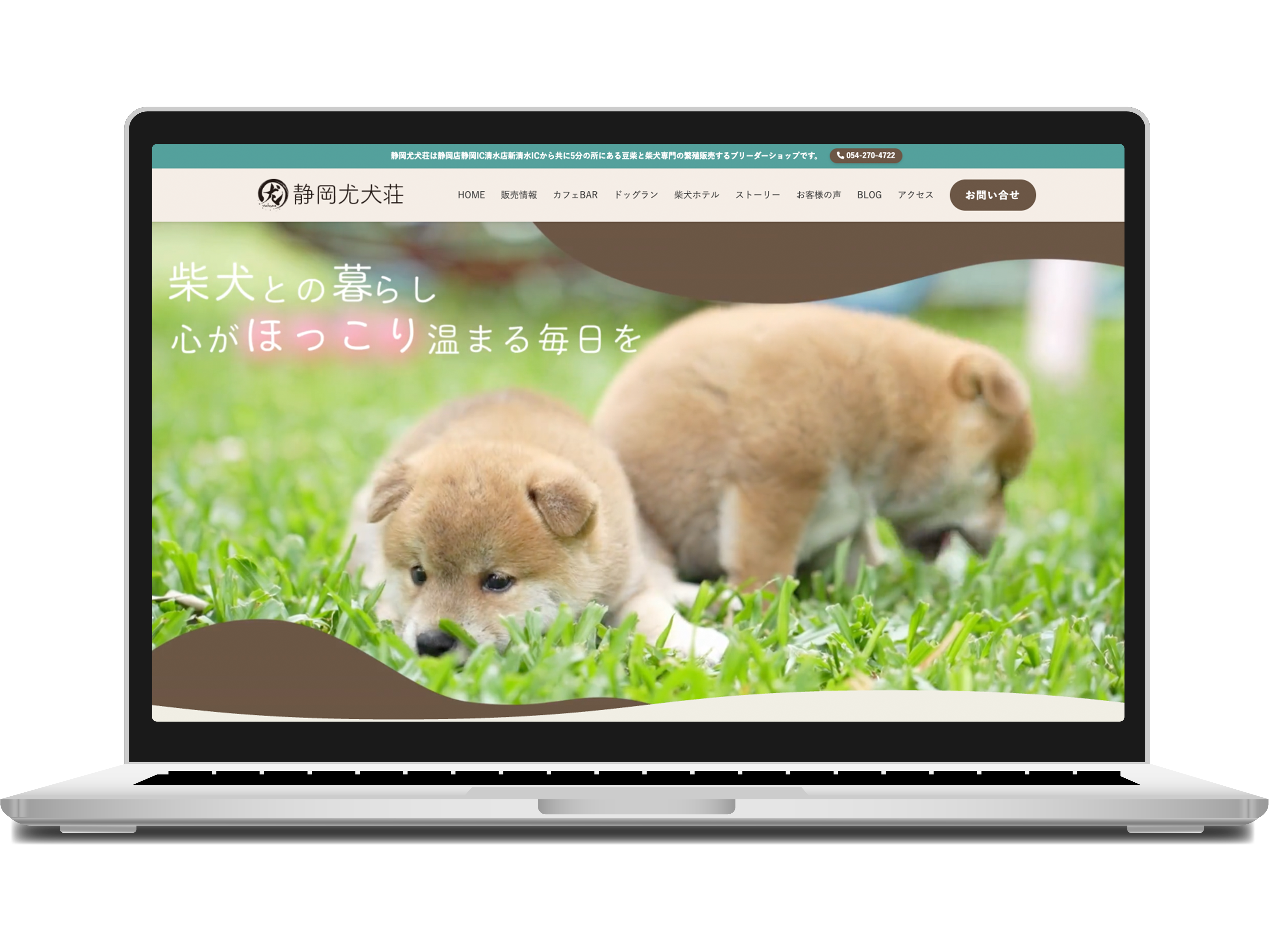 ホームページ制作